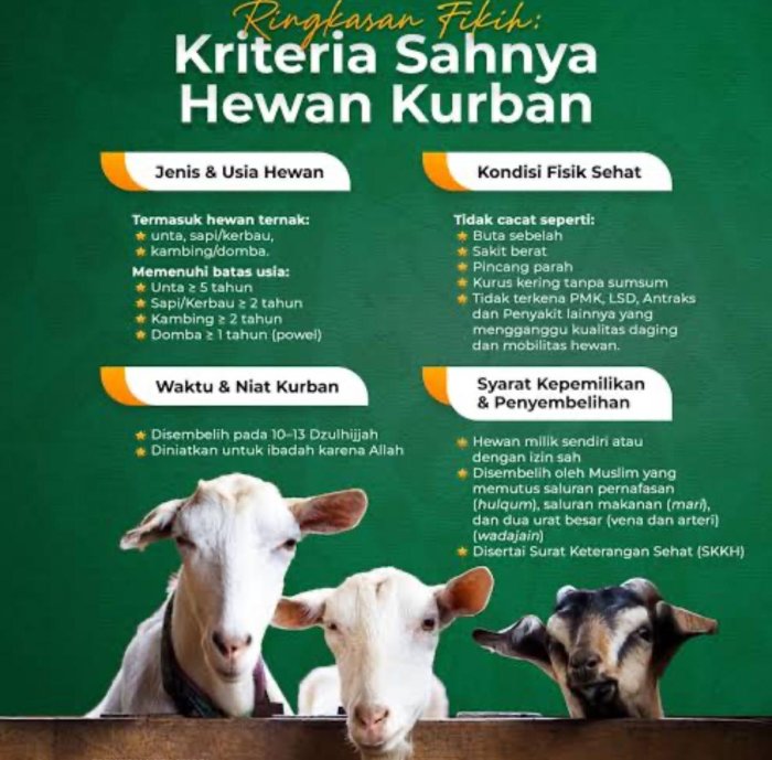 Islam dan Sains Selaras, MAN 1 Kerinci Ajak Siswa Bedah Syarat Qurban Pakai Ilmu Biologi